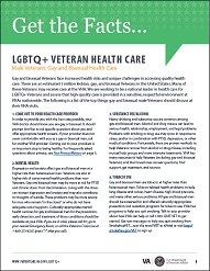 Gay and Bisexual Male Health Care Fact Sheet cover(751 KB, PDF)